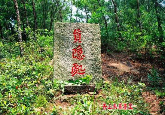 真隱處_美翻了！翔安這香山50畝花海綻放，小伙伴們約起來！