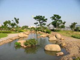 臺(tái)江望龍臺(tái)公園 (2)_臺(tái)江望龍臺(tái)公園