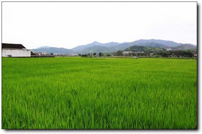 上杭古田會(huì)議會(huì)址 (1)_上杭古田會(huì)議會(huì)址